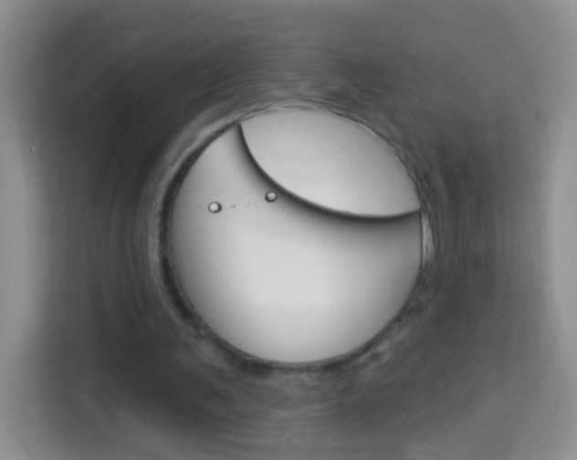 X0000114070291200910051021
