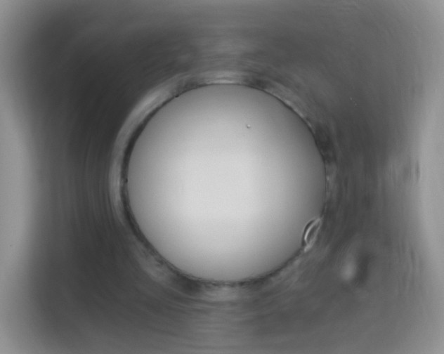 X0000114070293200910051021