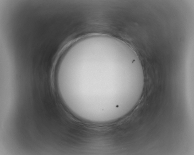 X0000114070296200910051021