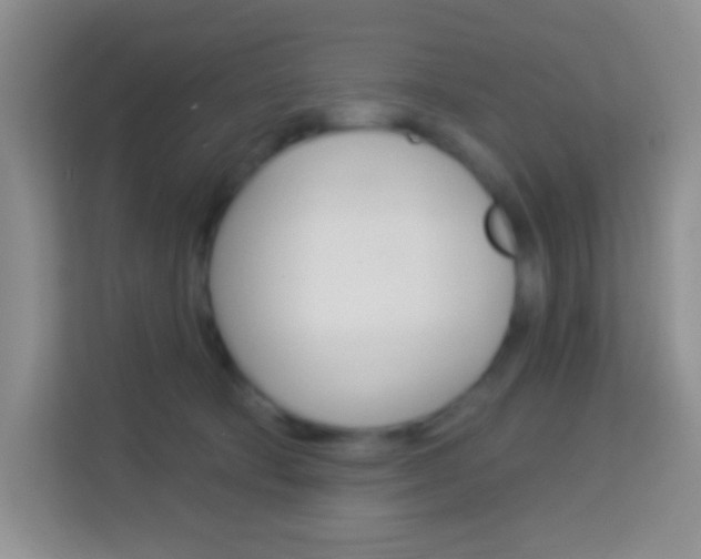 X0000114070322200910051021