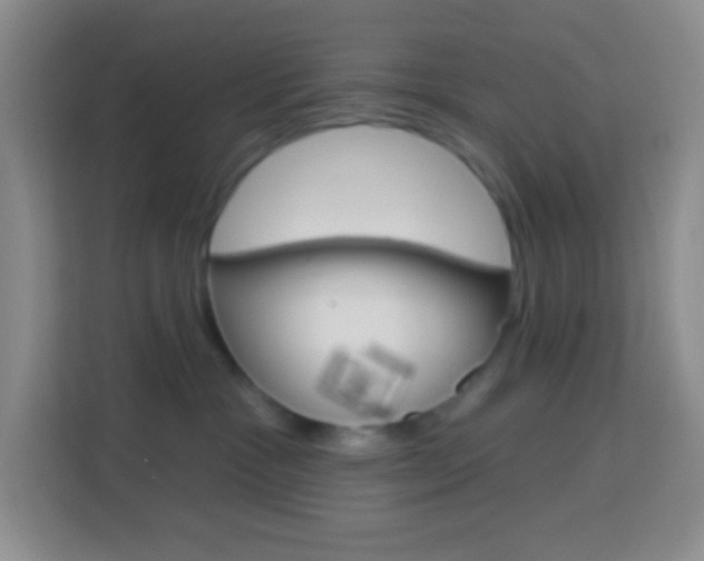 X0000114070333200910051020
