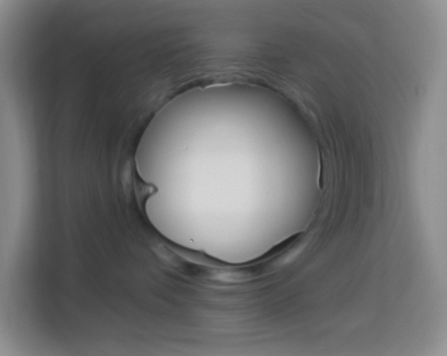 X0000114070336200910051020