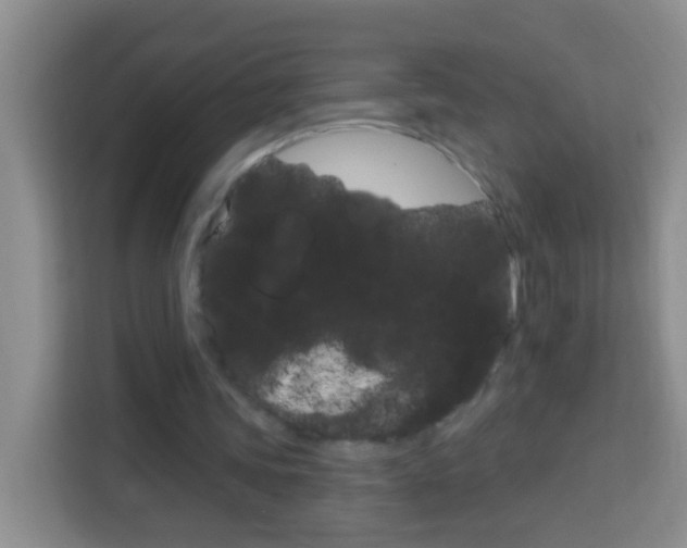X0000114070339200910051020
