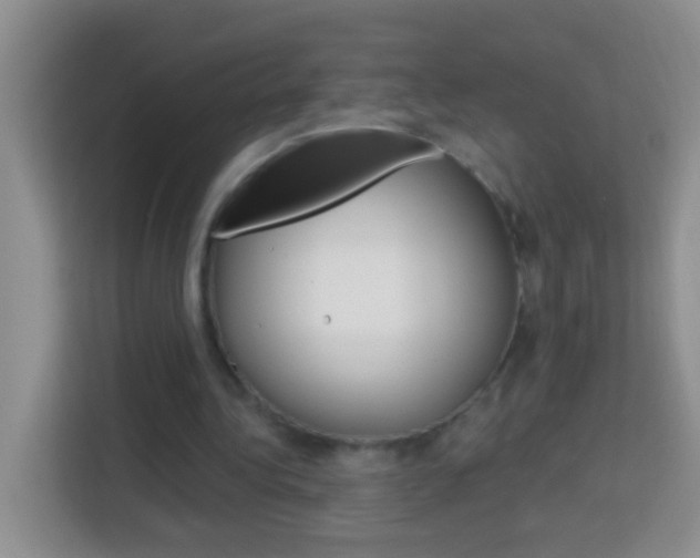X0000114070340200910051020