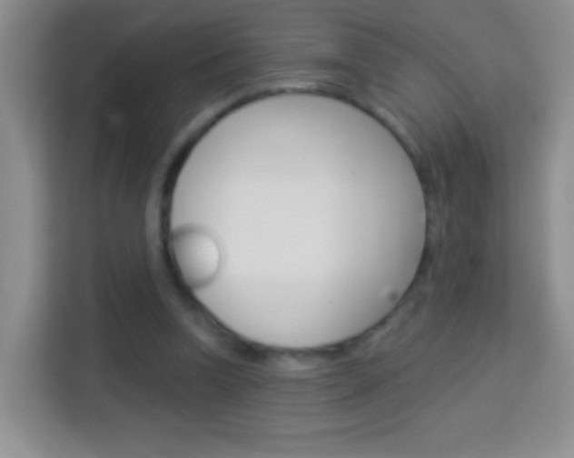 X0000114070346200910051020