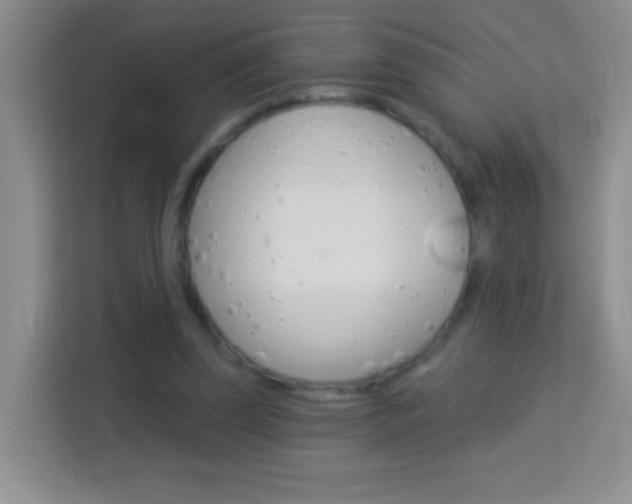 X0000114070347200910051020