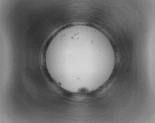 X0000114070351200910051020
