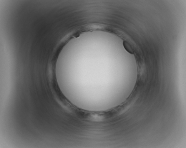 X0000114070352200910051020
