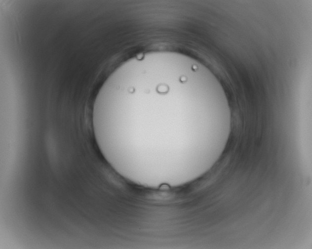X0000114070361200910051020