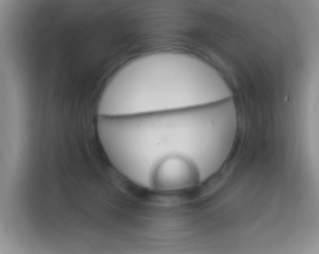 X0000114070366200910051020