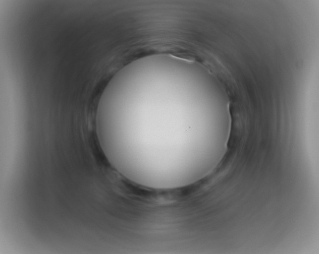 X0000114070368200910051020