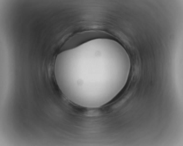X0000114070376200910051020