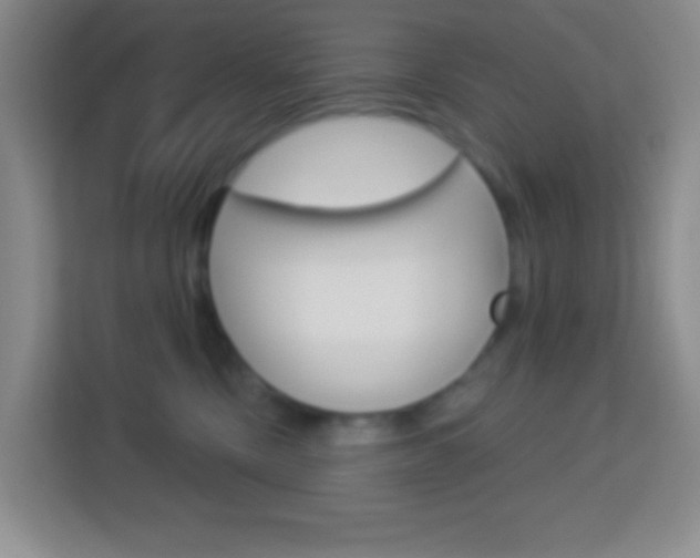 X0000114070378200910051020