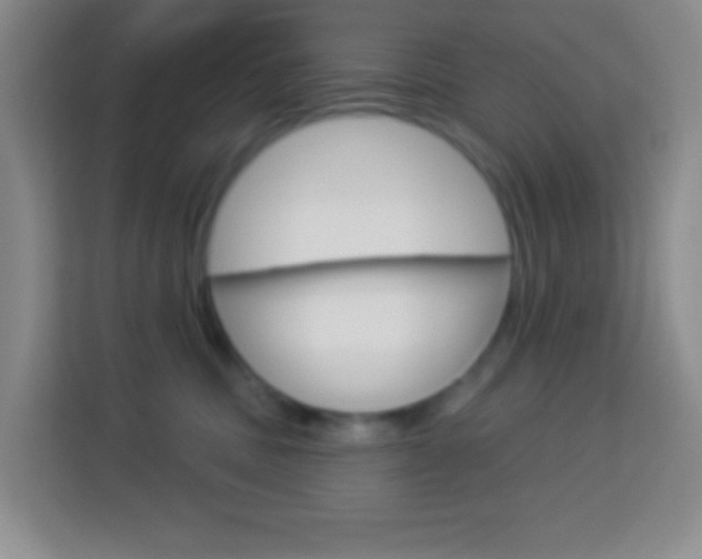 X0000114070379200910051020