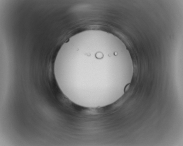 X0000114070381200910051020
