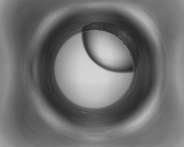 X0000114070382200910051020