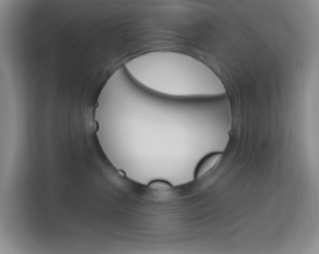 X0000114070383200910051020