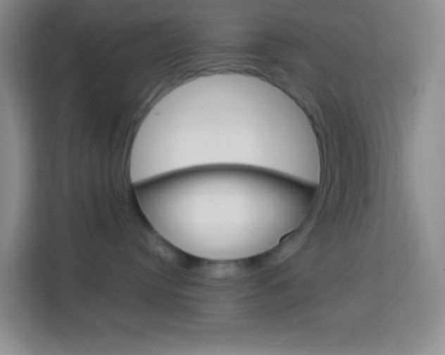 X0000114070384200910051020