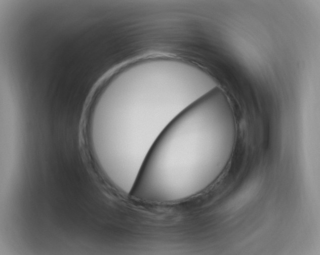 X0000114070388200910051020