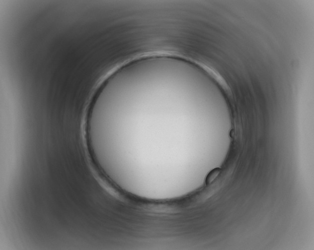 X0000114070389200910051020