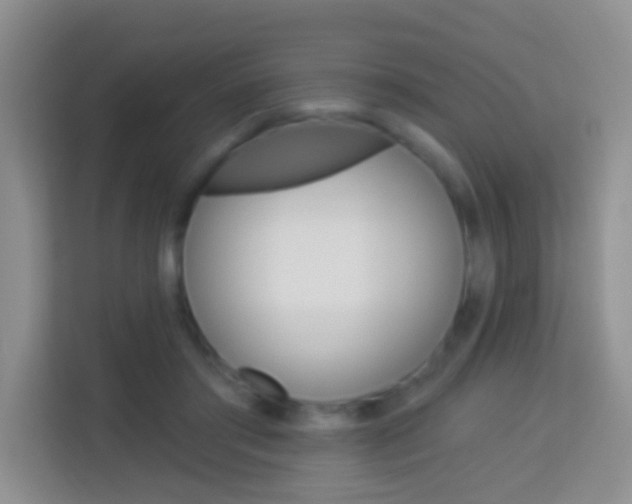 X0000114070405200910051019