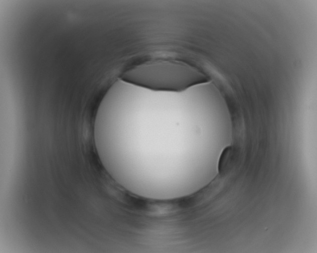 X0000114070417200910051019