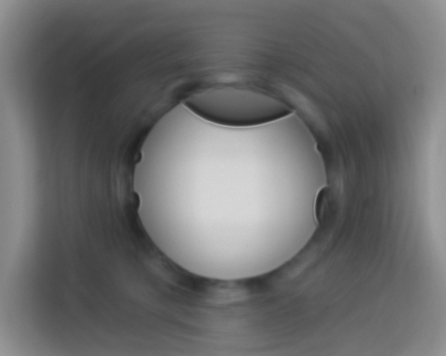 X0000114070421200910051019