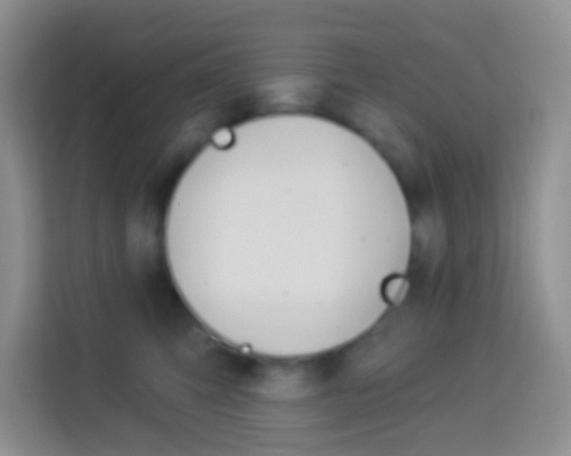 X0000114070423200910051019