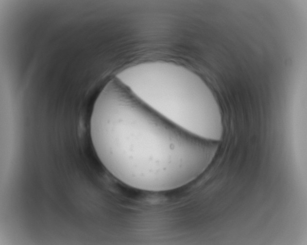 X0000114070424200910051019