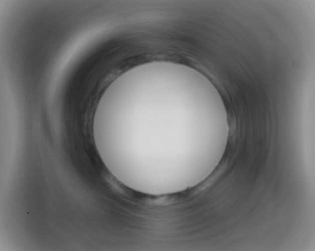 X0000114070430200910051019