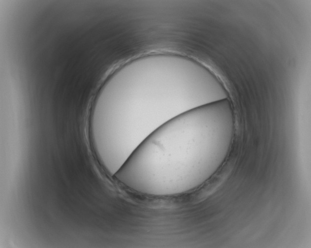X0000114070434200910051019