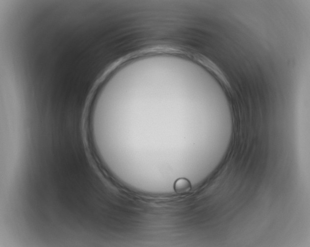 X0000114070436200910051019