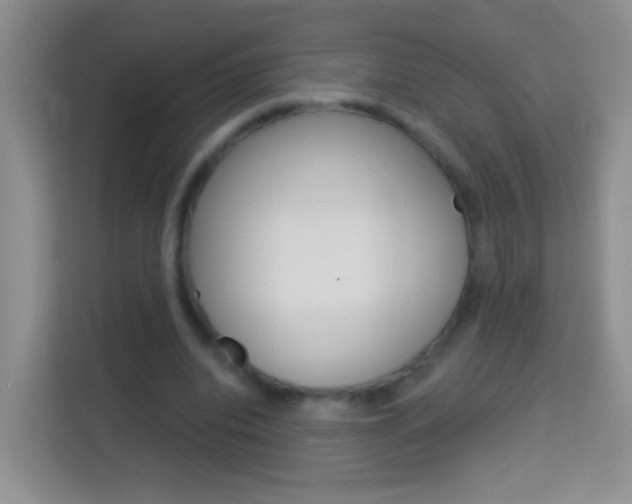 X0000114070440200910051019