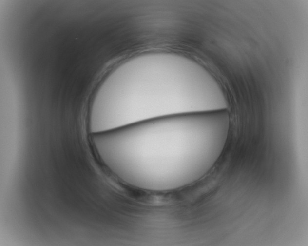 X0000114070442200910051019