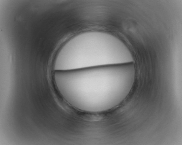 X0000114070443200910051019