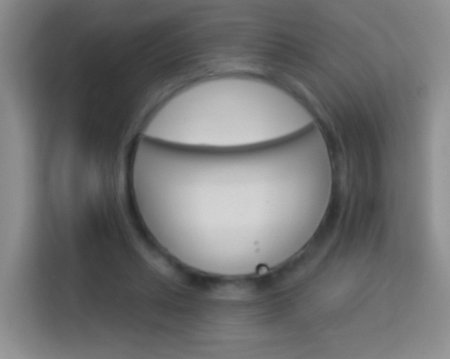 X0000114070447200910051019