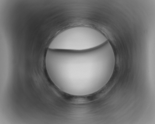 X0000114070449200910051019