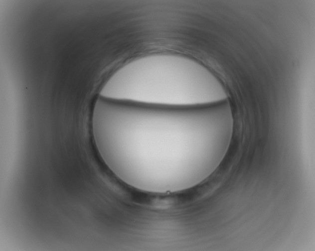 X0000114070450200910051019