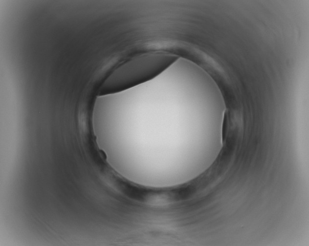 X0000114070452200910051019
