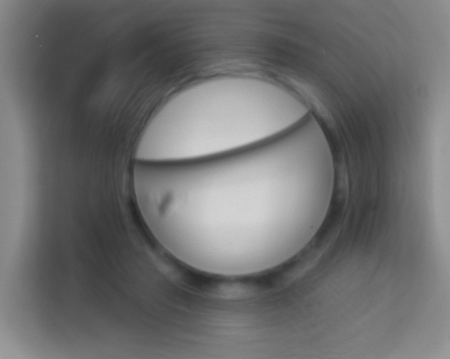 X0000114070453200910051019