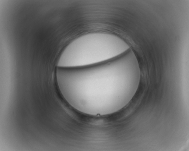 X0000114070454200910051019