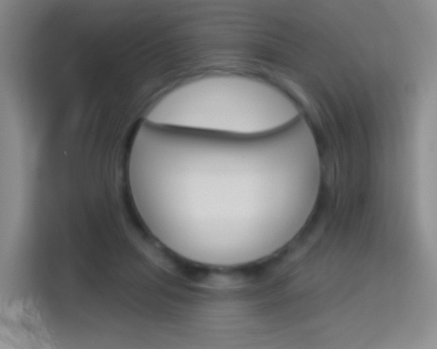 X0000114070455200910051019