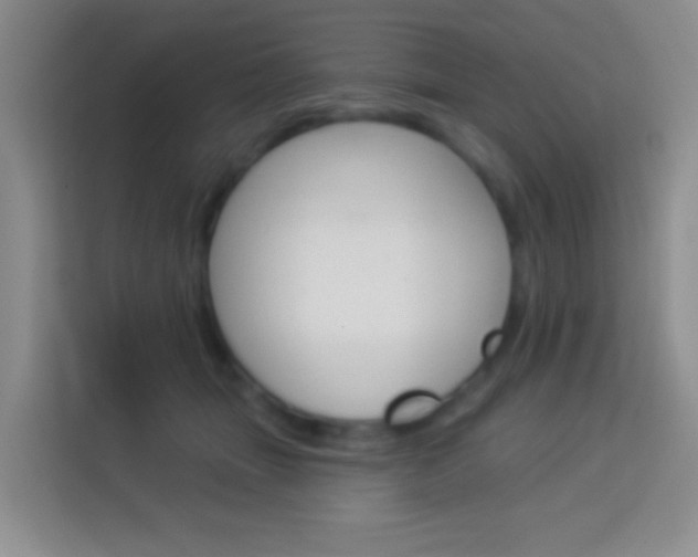 X0000114070463200910051019