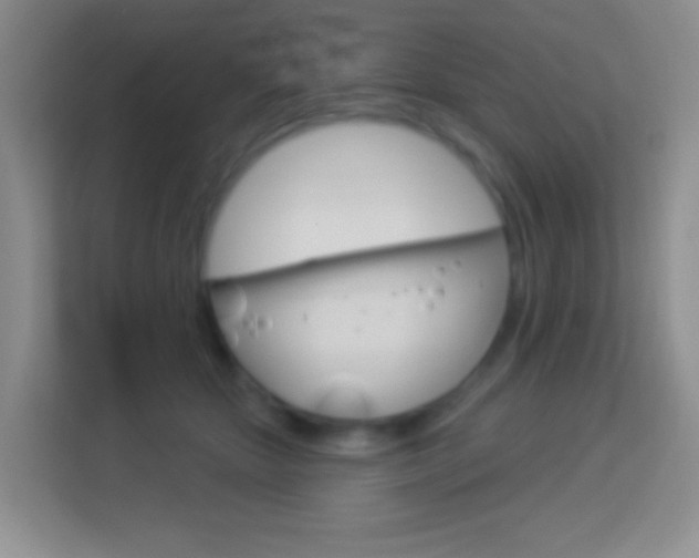 X0000114070467200910051019