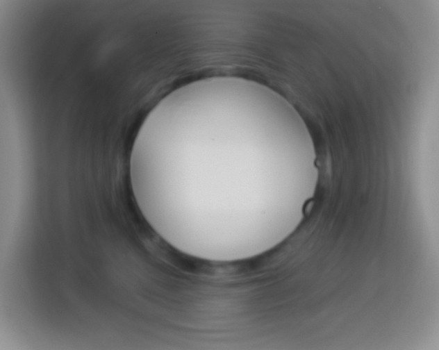 X0000114070472200910051019
