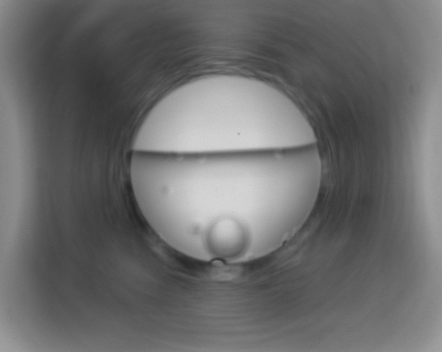 X0000114070474200910051019