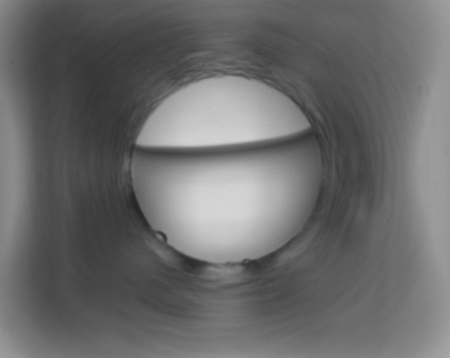 X0000114070480200910051019