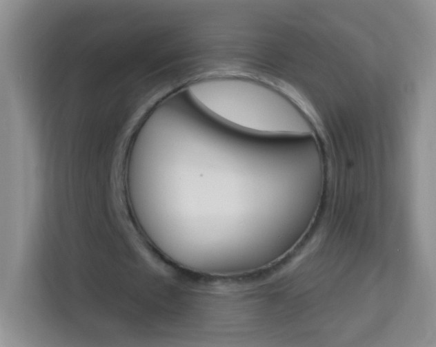 X0000114070481200910051018