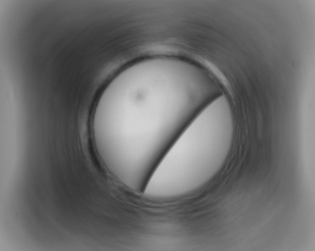 X0000114070487200910051018
