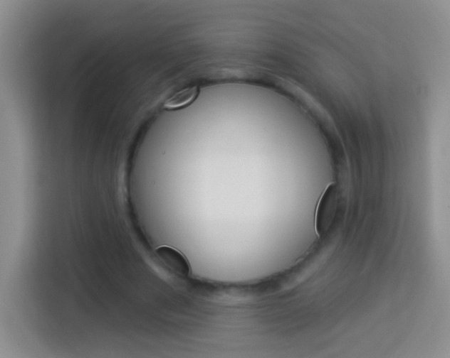 X0000114070489200910051018